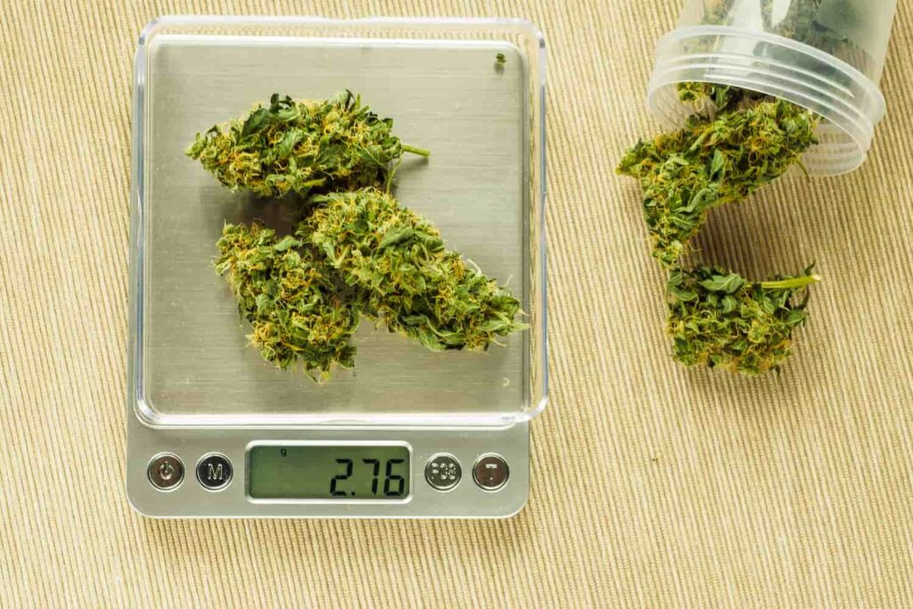 cannabis-1024x683.jpg